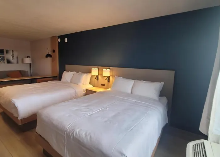 Comfort Hotel