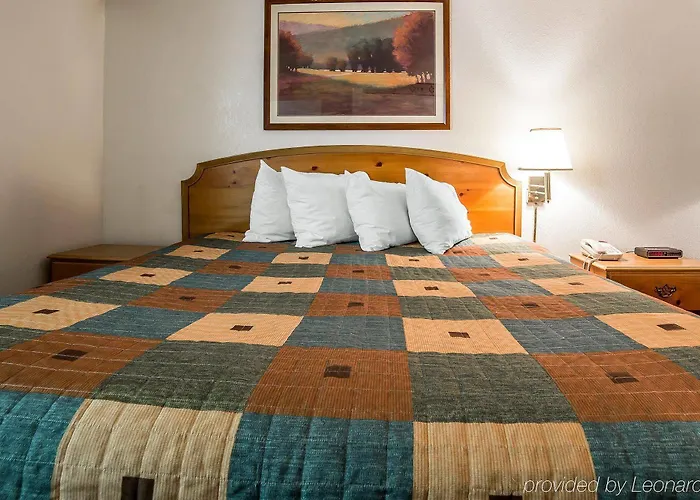 Comfort 4*